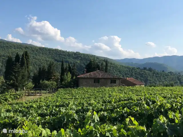 Valpiana | Italie, Toscane, Rufina - villa Vue depuis le vigard