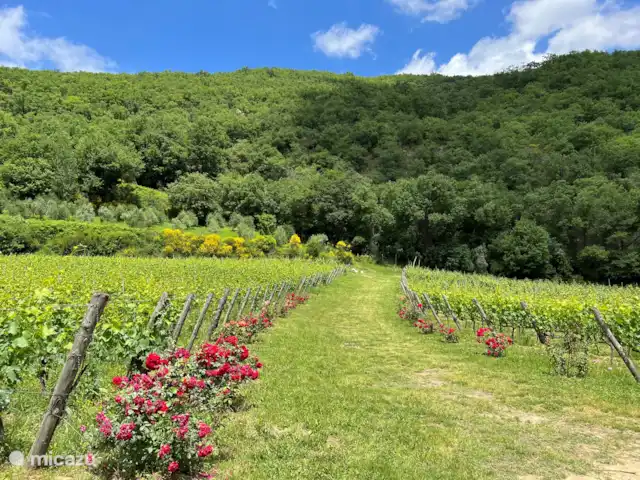 Valpiana | Italie, Toscane, Rufina - villa