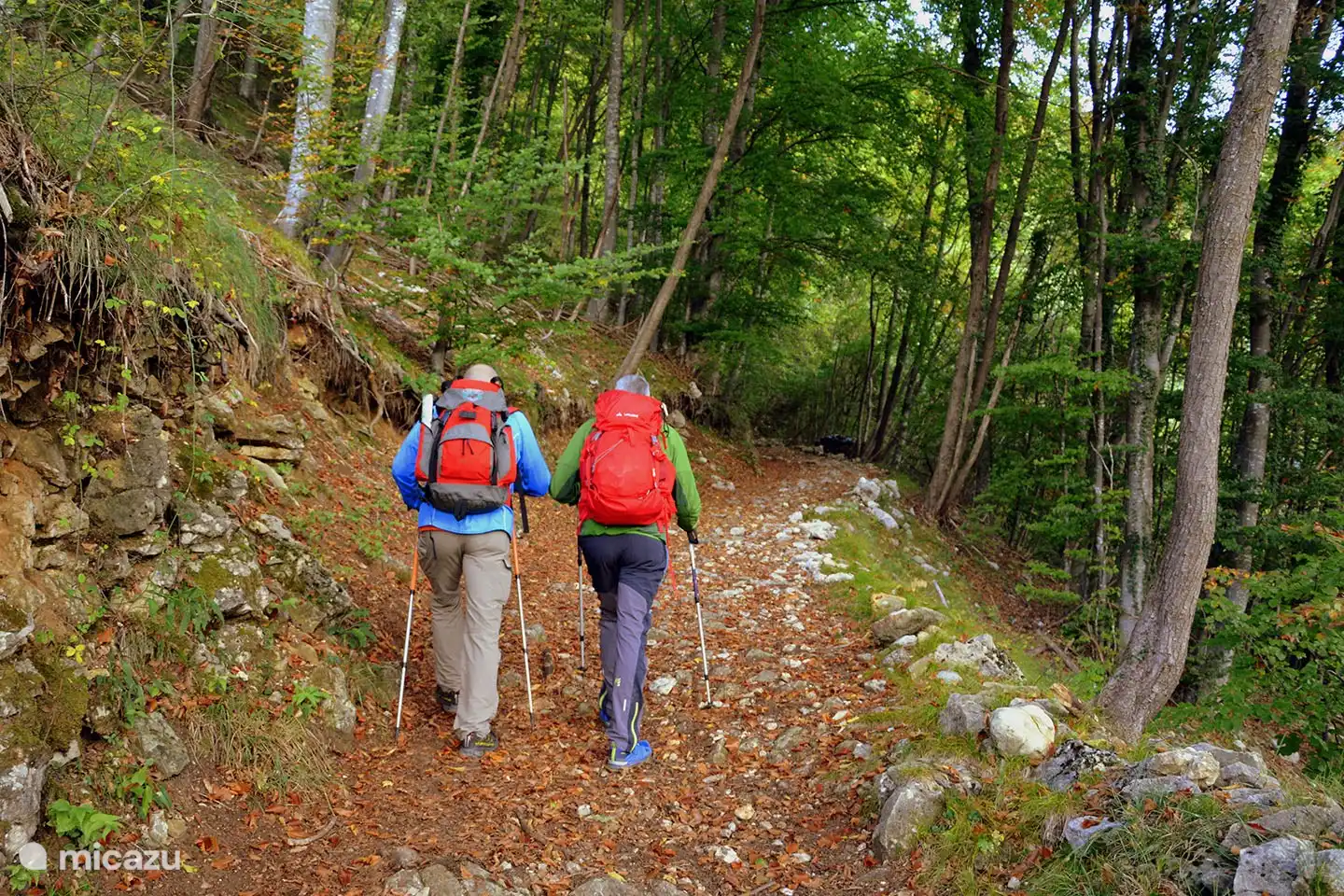 Valpiana grenzt an den Nationalpark Foreste Casentinesi. Diese Gegend ist perfekt für kleine und große Spaziergänge, Besuche von Wasserfällen und alle Arten von anderen Outdoor-Aktivitäten. 