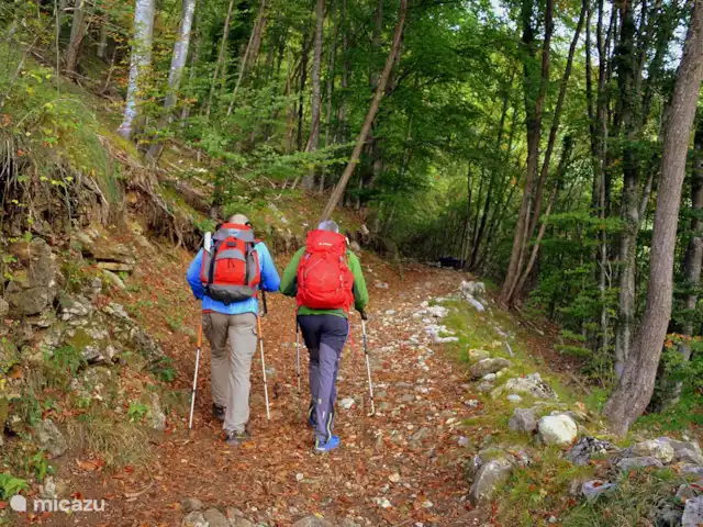 Valpiana | Italie, Toscane, Rufina - villa Valpiana est adjacente au parc national Foreste Casentinesi. Cette zone est parfaite pour les petites et grandes promenades, les visites de cascades et toutes sortes d’autres activités de plein air.