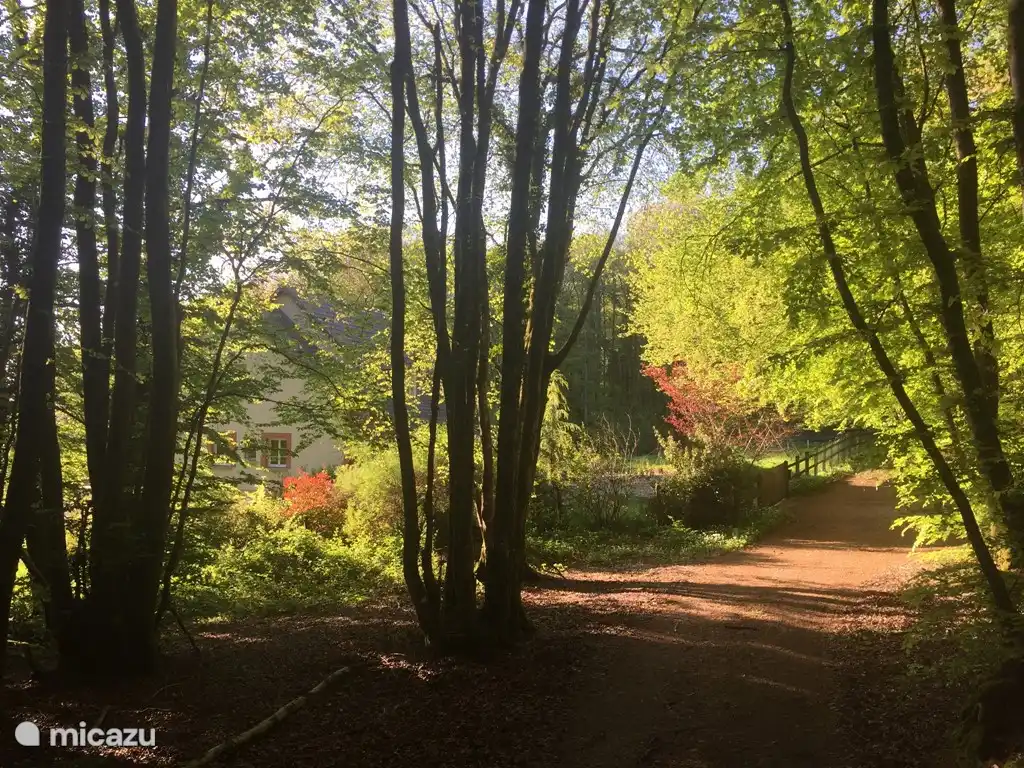 Huis ligt midden in het bos