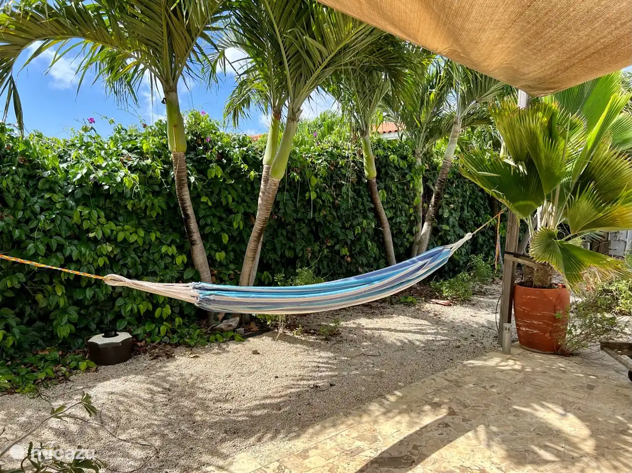 Zone de détente avec hamac