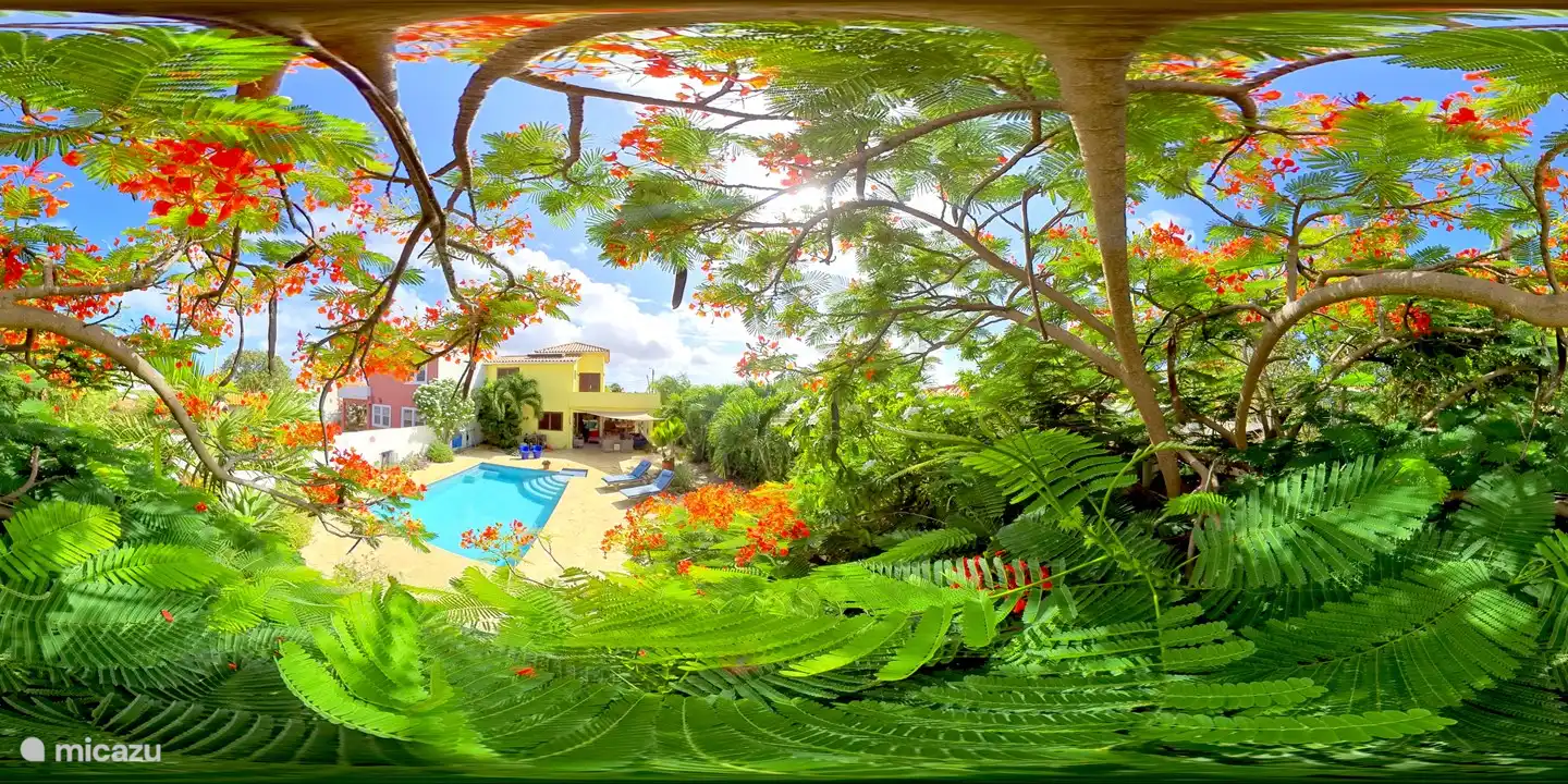 Vue flamboyante sur la piscine