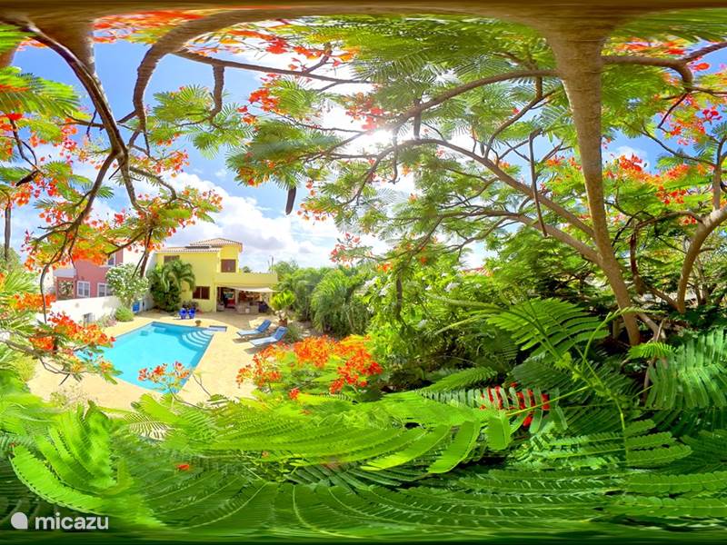Vakantiehuis Bonaire, Bonaire, Belnem Villa Kas Luna met tropische tuin en pool
