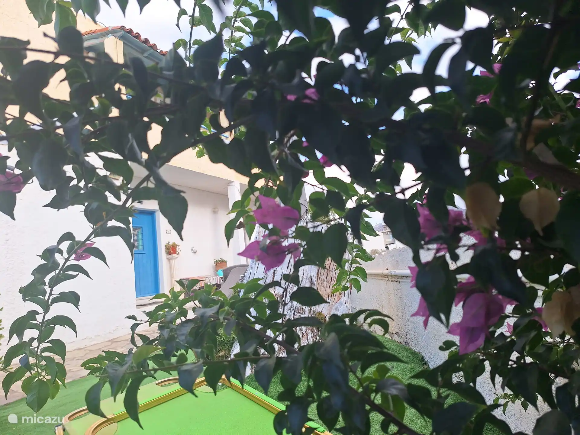 Vanuit de tuin doorkijk op ingang.