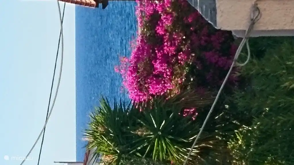 Zeezicht vanaf balkon