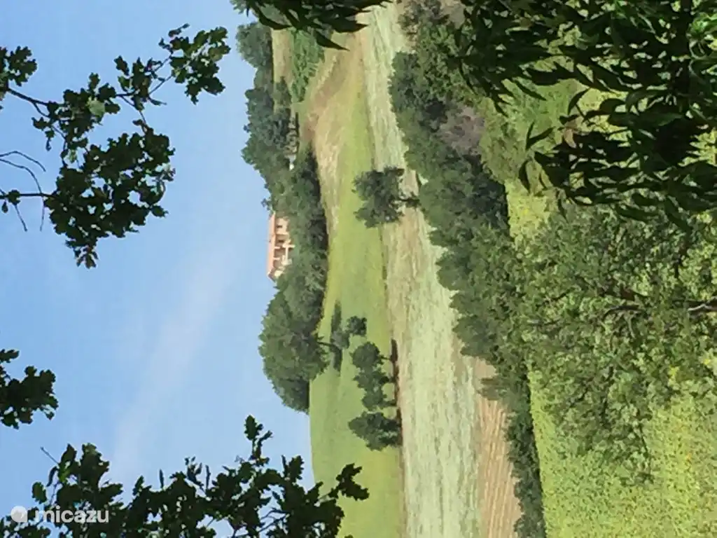 zwischen unseren Weinbergen und anderen Ländern