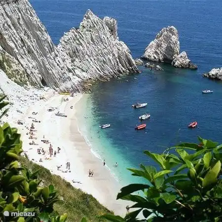 Wir sagen Ihnen, wie Sie in dieses Paradies zu erhalten