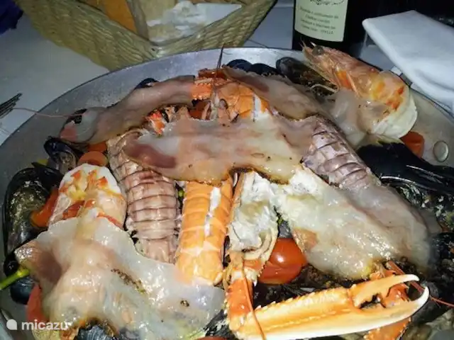 Location de Vacances Italie, Marche, San Vito sul Cesano, villa - Marches Villa.San.Vitale Sopra 4 p Fraîchement pêché le matin chaud dans votre assiette le soir ou l'après-midi