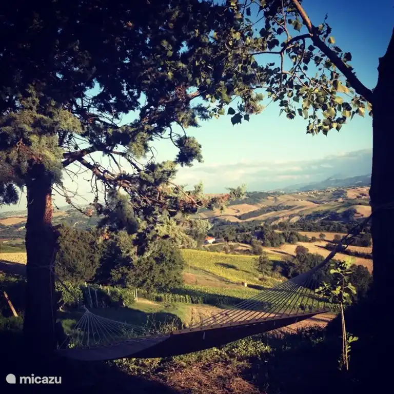 die schöne Aussicht