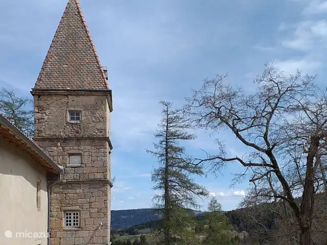Location de Vacances France, Haute-Loire, La Chaise-Dieu, gîte / cottage - Gîte de Folgoux Château de Folgoux