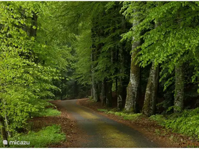 Location de Vacances France, Haute-Loire, La Chaise-Dieu, gîte / cottage - Gîte de Folgoux Route d'accès