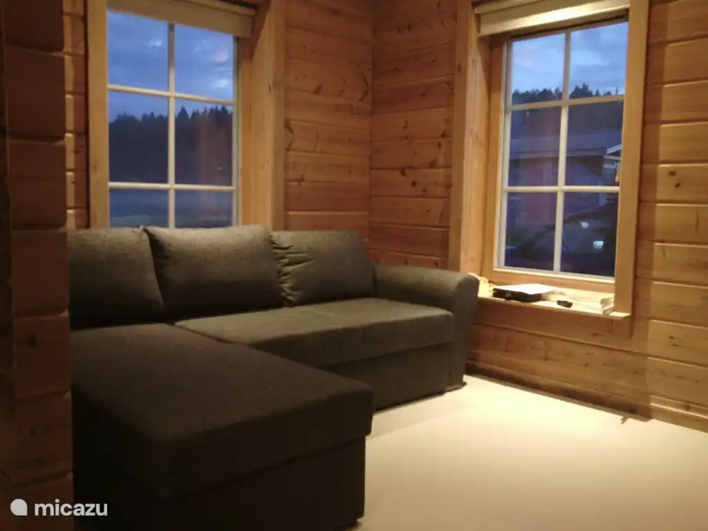 Fernsehraum mit 2 Schlafsofa zum Schlafen 12-13.