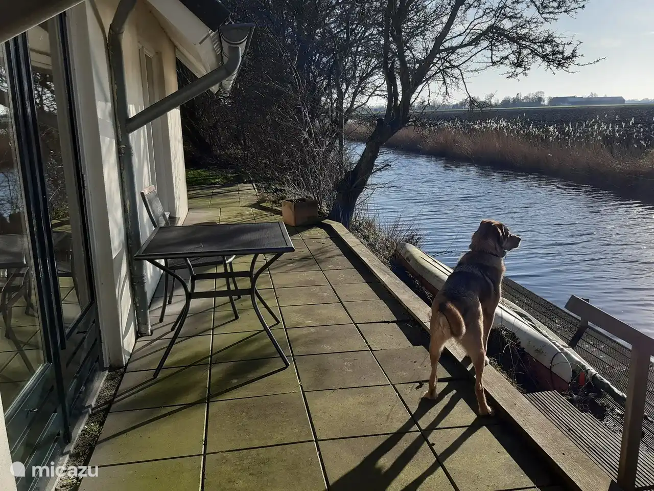 Terrace on the water