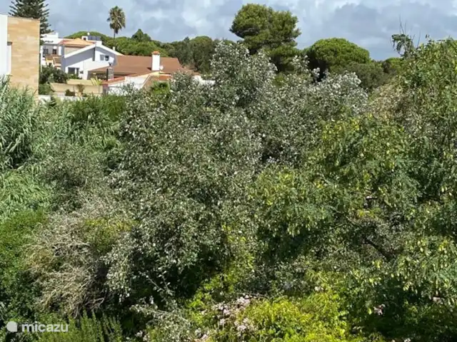 villa huren in Spanje, Costa de la Luz, El Rompido – Casa Cristobal