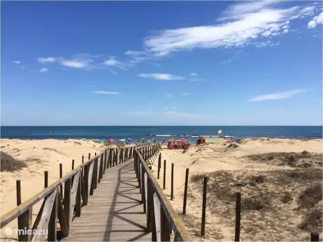 La Mata Viñamar 7 vista frontal al mar en España, Costa Blanca, La Mata - apartamento playa justo en frente de nuestro edificio de apartamentos