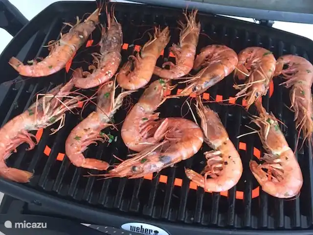 Casa Luz | Espagne, Costa Blanca, Moraira - appartement Crevettes fraîches au barbecue sur la terrasse
