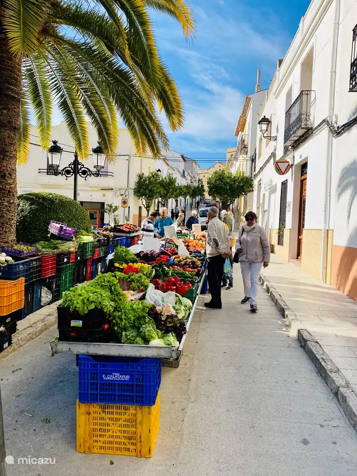 Les légumes, les fruits et les olives les plus délicieux du magnifique arrière-pays.