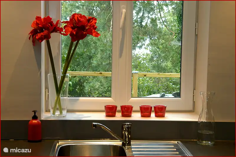 View of the forest behind the house.