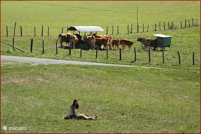 Y.ou may play football. You can also take a seat.