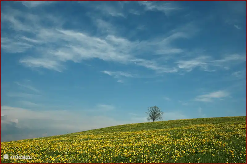 Beautiful landscapes in the surroundings of La Roque.