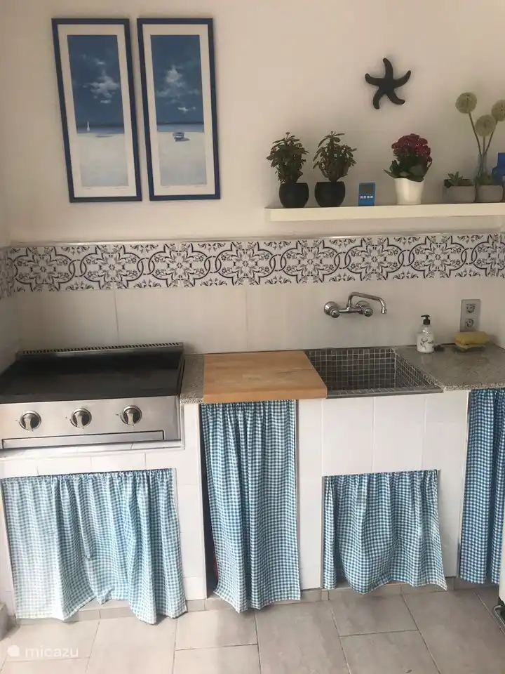 De buitenkeuken. Links de bakplaat.