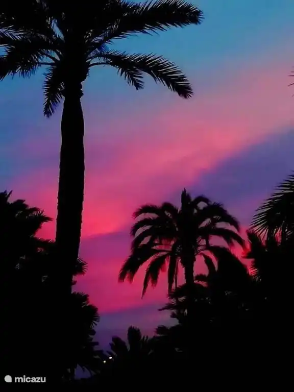 Wunderschöner Sonnenuntergang.