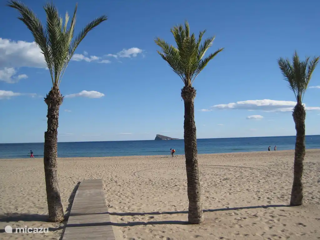 Die herrlichen Sandstrände von Benidorm.