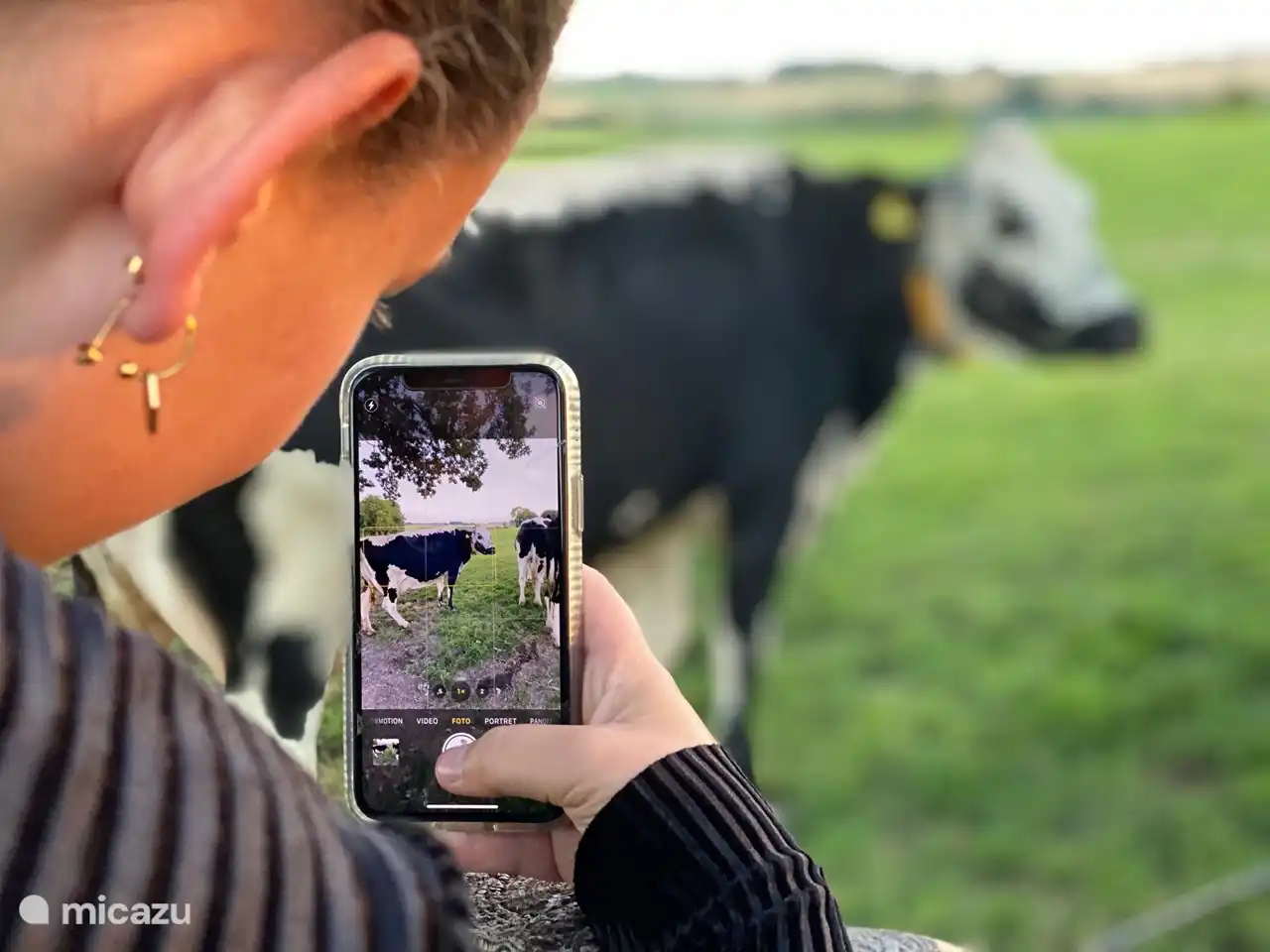 landelijke groene omgeving
