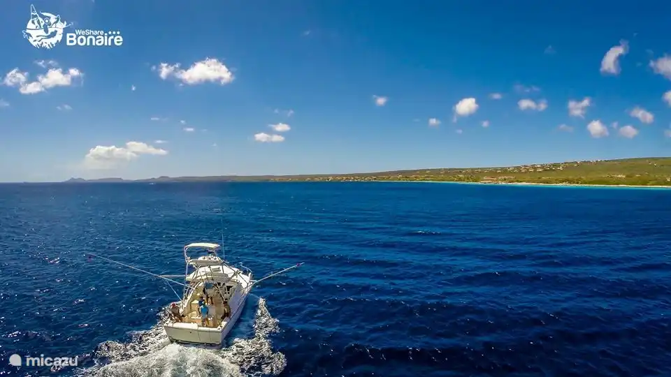 Bonaire Pêche au gros