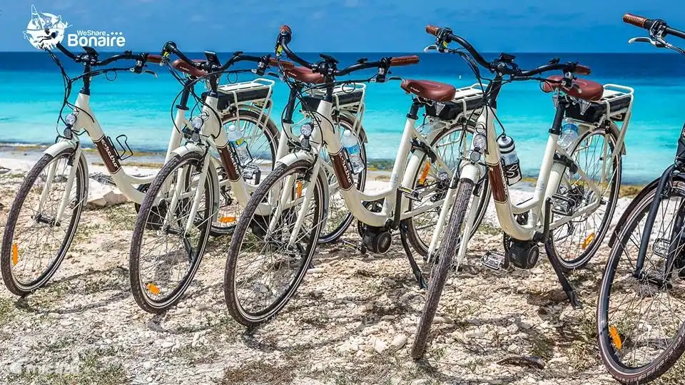 Bonaire Eco Cycling Vélos électriques de haute qualité