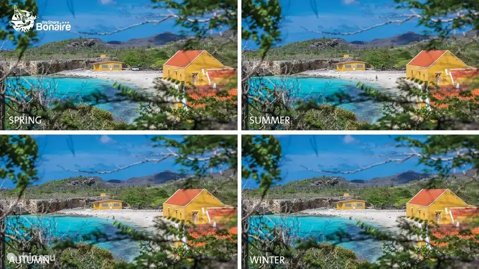 Les quatre saisons à Bonaire