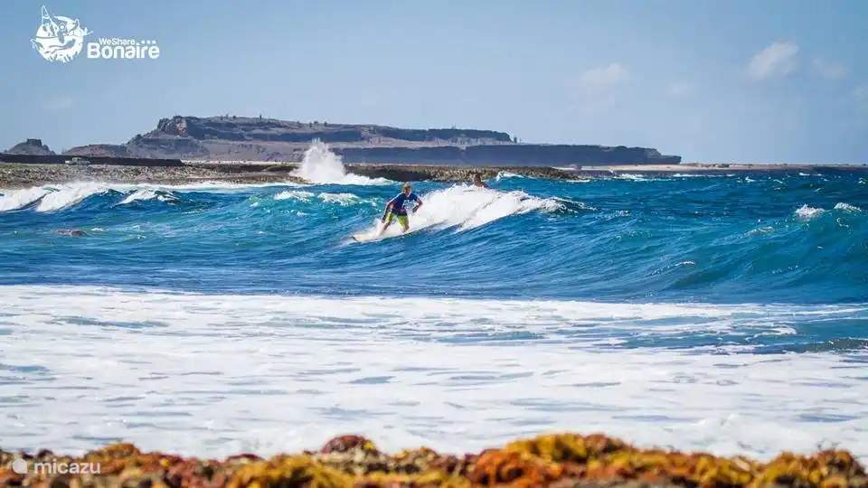 Vagues à Playa Grandi Bonaire