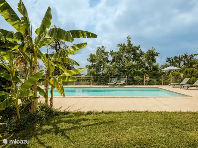 Castelneuve | France, Lot-et-Garonne, Castelnau Montratier - villa La piscine