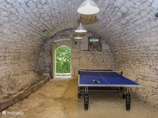 Castelneuve | France, Lot-et-Garonne, Castelnau Montratier - villa Ping-pong
