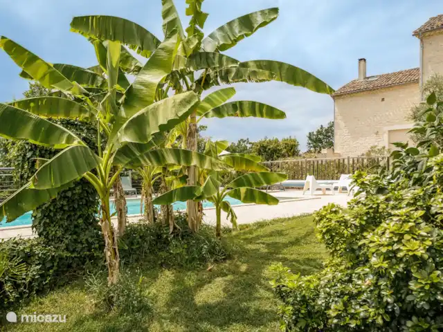 Castelneuve | France, Lot-et-Garonne, Castelnau Montratier - villa Le jardin