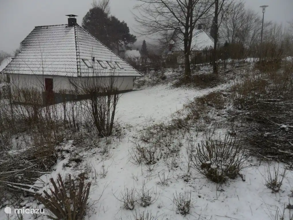 Der Garten im Winter mit Schnee.