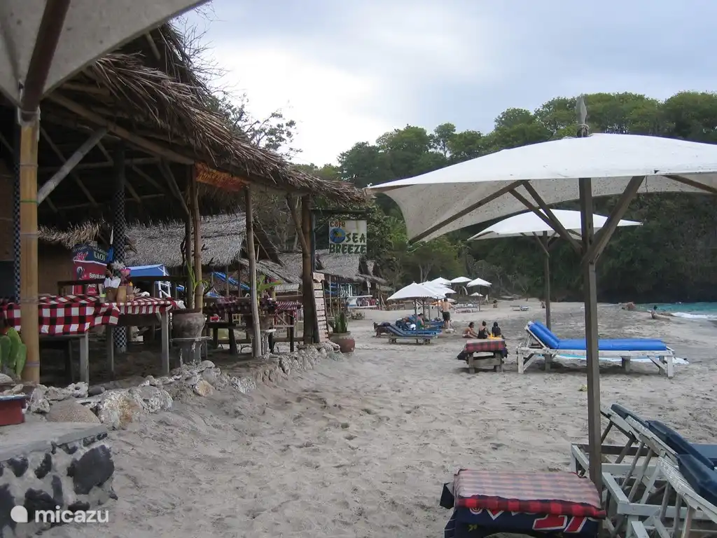 Besuchen Café-Besitzer Entspannen Sie sich mit Aju