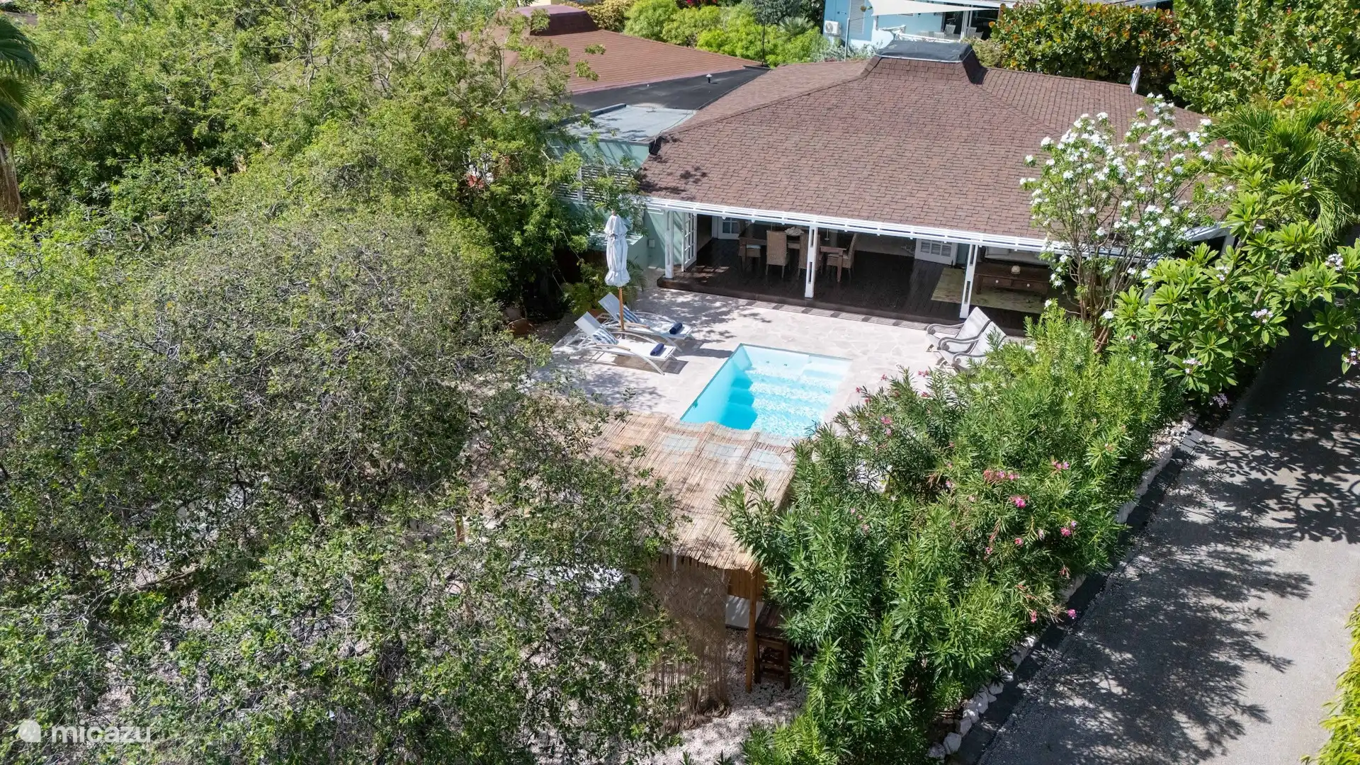 Tropical garden from above