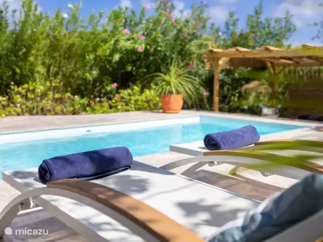 Location de Vacances Curaçao, Curaçao-Centre, Piscadera, bungalow - Piscadera Bay Resort Chaises longues