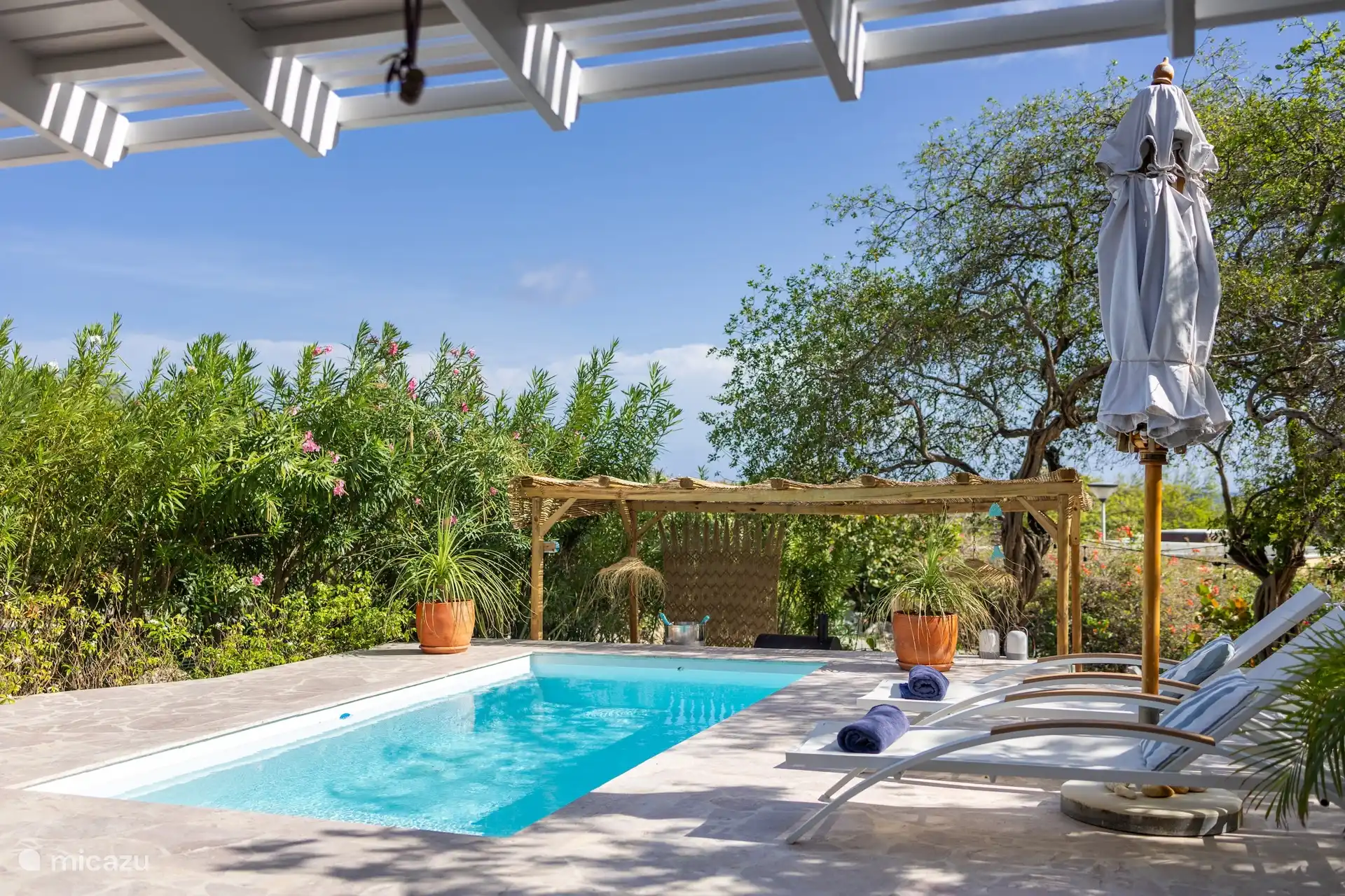 Swimming pool and outdoor kitchen