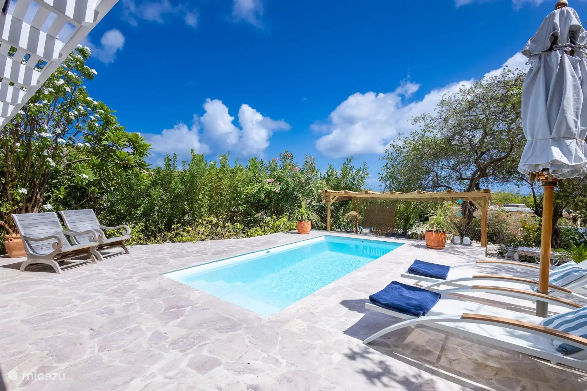 Swimming pool and outdoor kitchen