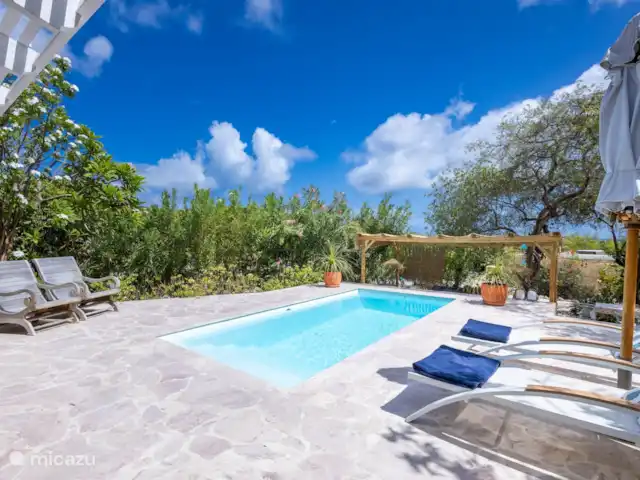 Location de Vacances Curaçao, Curaçao-Centre, Piscadera, bungalow - Piscadera Bay Resort Piscine et cuisine extérieure