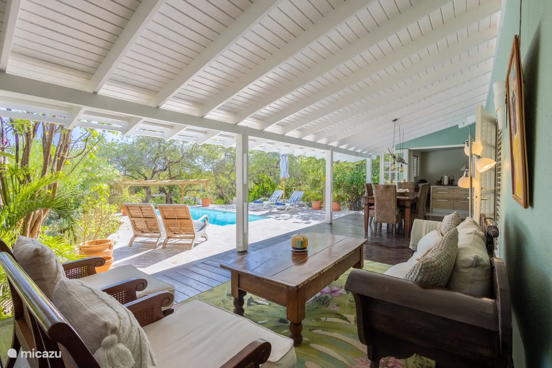 View from the chair into the garden