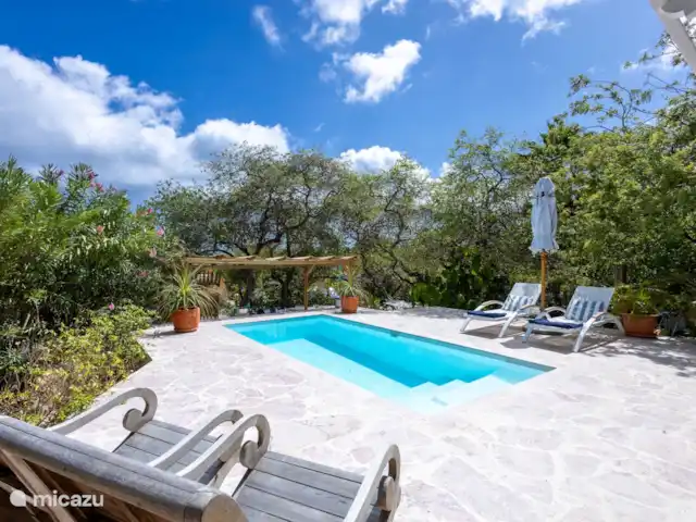 Location de Vacances Curaçao, Curaçao-Centre, Piscadera, bungalow - Piscadera Bay Resort Piscine
