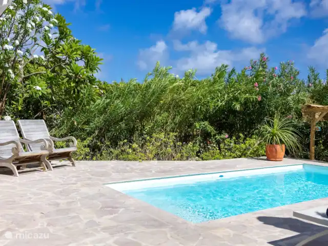 Location de Vacances Curaçao, Curaçao-Centre, Piscadera, bungalow - Piscadera Bay Resort Piscine