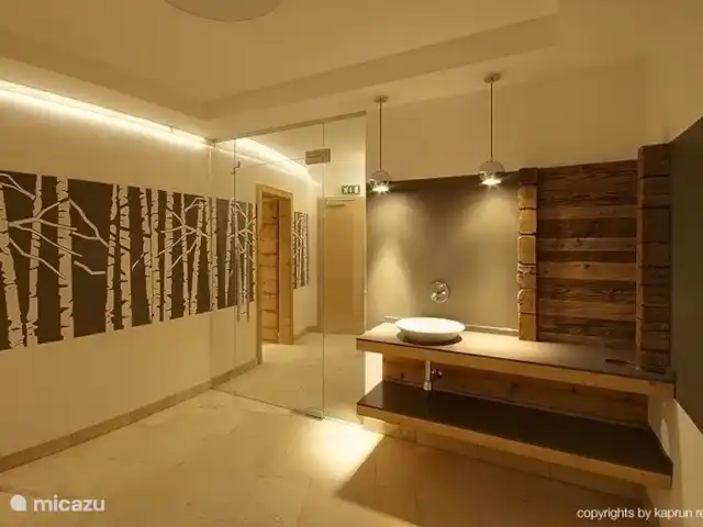 Kaprun Mountain Resort TopE21 | Autriche, Salzburgerland, Kaprun - appartement Le bien-être au Kaprun Mountain Resort.