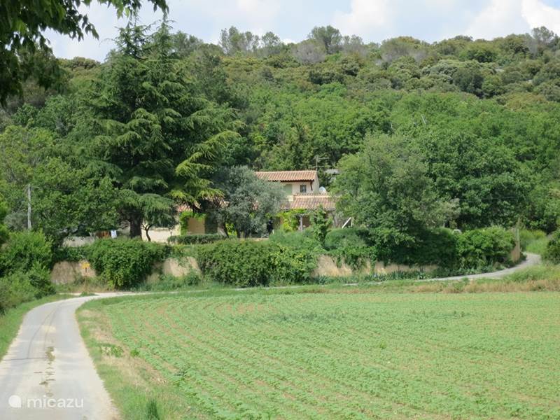 Holiday home in France, Gard, Aigaliers Villa Les Olivettes