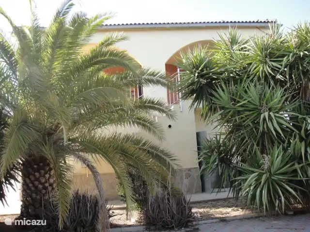 finca huren in Spanje, Costa Blanca, Crevillente – Alicante Finca Lucky Zijkant van uw appartement