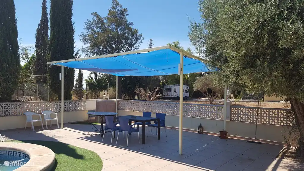 Demasiado calor, busca sombra en la piscina.